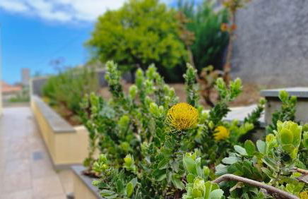 Capela's House by LovelyStay - Foto 45