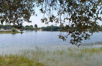 Casa das Rosas - Foto 34