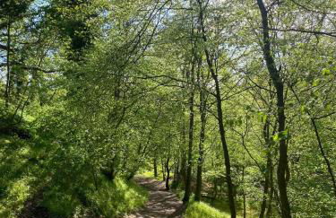 Lovely Countryside Getaway - Foto 49