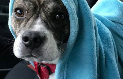 Ferienwohnung-Willgeroth - Foto 12