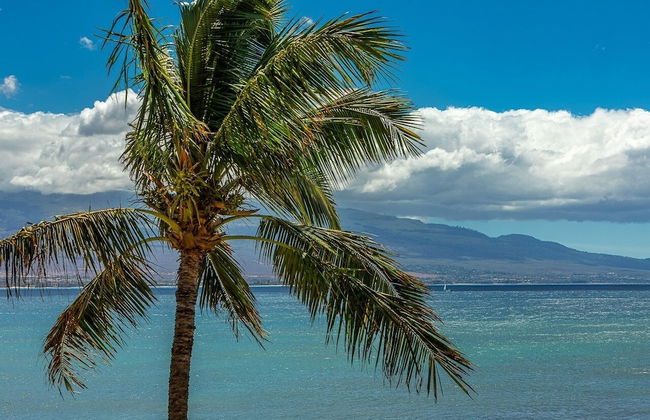 Island Sands by Coldwell Banker Island Vacations - Foto 62