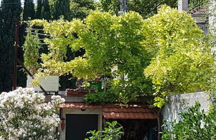 MAS DE VILLE AVEC PISCINE DANS SON COCON DE VERDURE - ESPRIT INDUSTRIEL - Foto 21