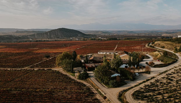 Contino Vineyards Winery (Alava) - Photo 3