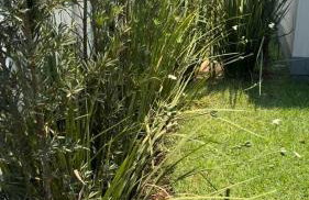 Bangalô Miraflores - Foto 26