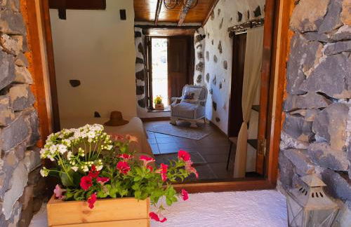 Viña Camello - Foto 16