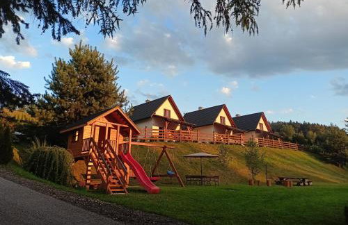 Bieszczadzki Bohater Domki 533-502-137 - Photo 40