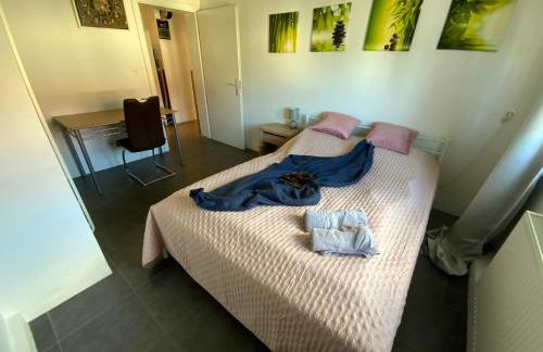 Luminous apartment in Kehl near Strasbourg, conveniently located next to a tram stop with direct access to Strasbourg city centre - Foto 15