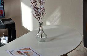 Kofinaki apartment 2 - Tychero Evros - Foto 12