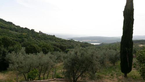 Agriturismo Il Piatello - Foto 4