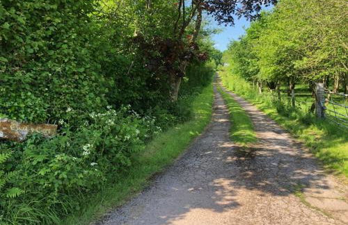 2 Bed in Chepstow 95046 - Foto 22