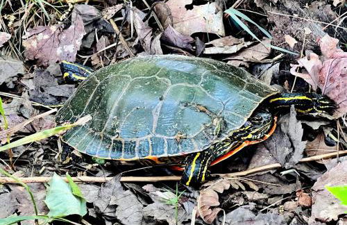 Outstanding Retreat with Dock, Game Space and Lake Views in Wisconsin - Foto 73