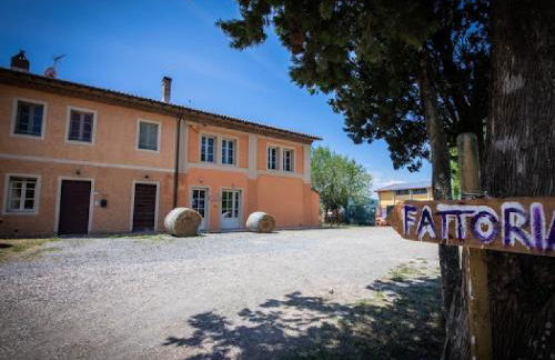 Agriturismo La Valle della Lavanda - Podere Mezzastrada - Foto 7