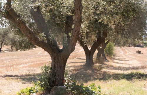 Agriturismo Casale San Benedetto - Foto 39