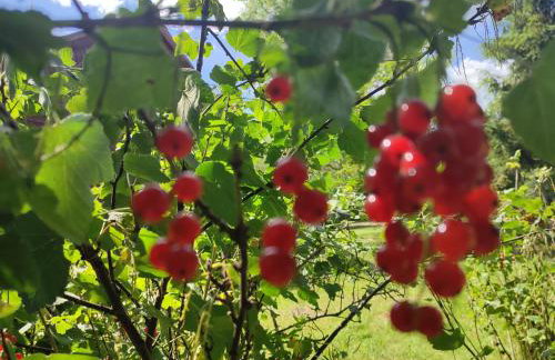 Domek Zofiówka dostęp na kod - Foto 31