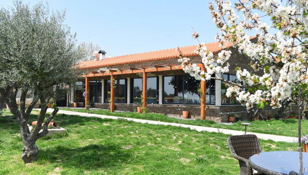 Visita a la bodega Quinta da Avessada - Photo 4