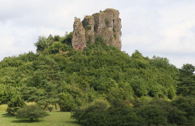 Bungalow in Eifel Near Forest and Mountains - Foto 39
