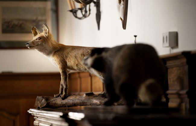 Domaine de Priesmont - Photo 2