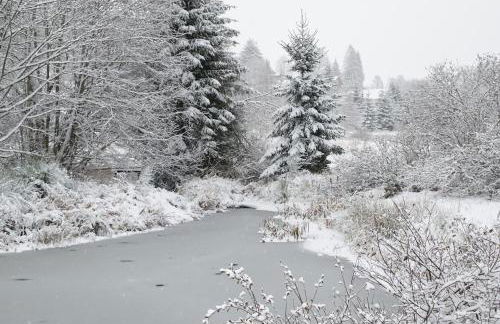 ROULOTTE DU PERE NOEL - Foto 10