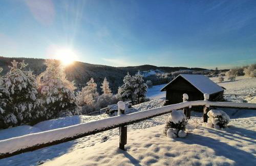 Stodoły w Bieszczadzie domy z basenem i widokiem na góry - Photo 18