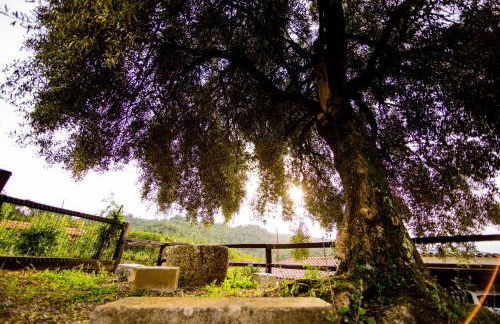 Pena De Roca - Foto 63