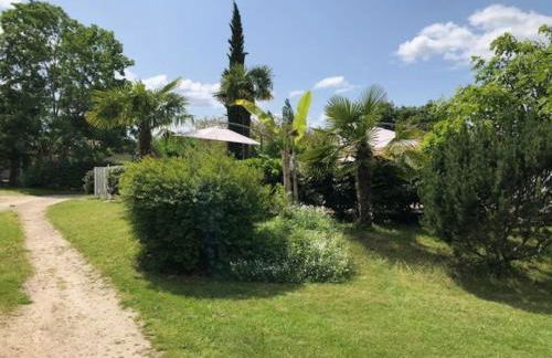 Gîte Diamant Noir - Foto 11