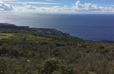 Country Cottage in Papa Bay - Foto 26