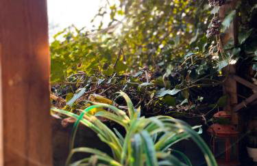 La Cabane des Trappeurs - Foto 17