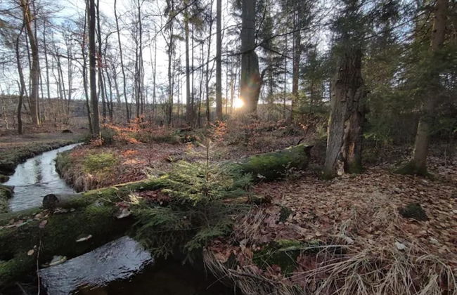 Holiday Homes in the Schierke Harzresort, Schierke - Photo 74