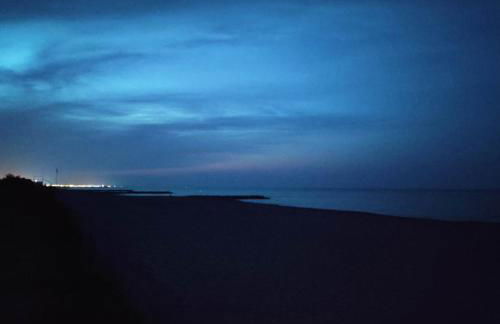 LES CAPITELLES 5 - Accès direct à la plage depuis le jardin - T2 avec cabine - 6 pers - jardin - Piscine - parking - Photo 25