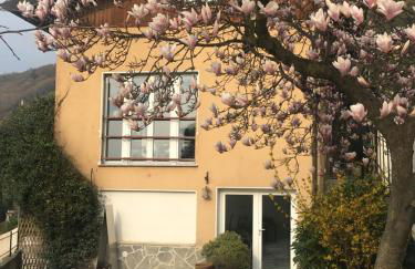 Ül Laghèe Blevio Apartments - Foto 45