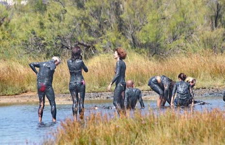 Apartmani Fulir - Foto 33