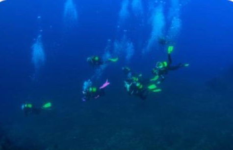 Das blaue Haus - Foto 23