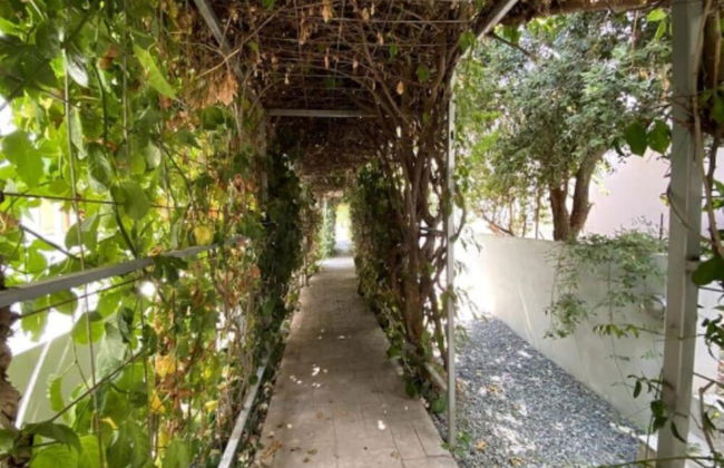 Pearl Villa in Agios Athanasios - Foto 9