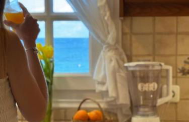 Artaki beach house with view - Foto 29