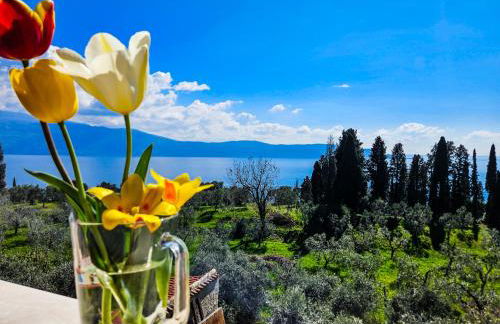 Altavista - Vista lago panoramica 180 gradi - Foto 28