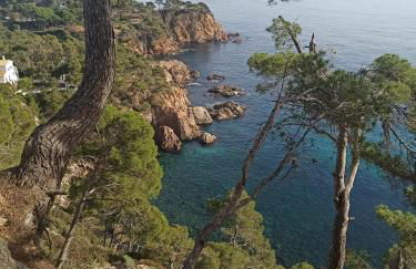 Domus Aurea - Foto 20