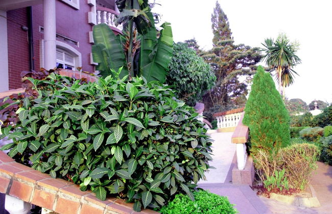 Diplomat Apartment Kacyiru - Foto 17