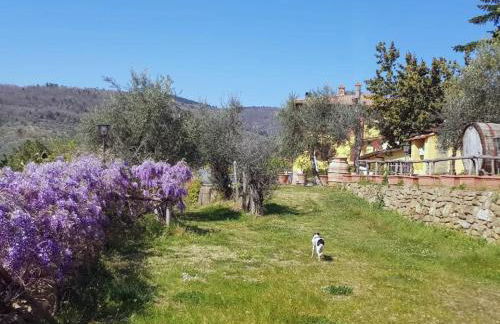 Appartamento La Tavernetta - Foto 19