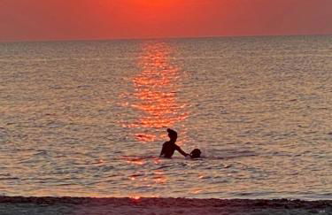 Jan`s FeWo - Foto 24