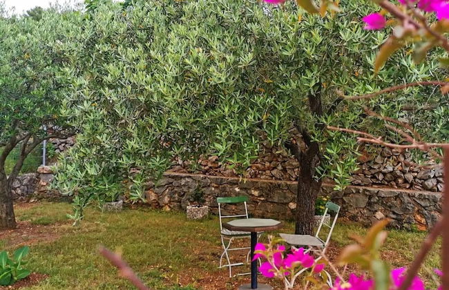 Garden - sea View - A1 - Foto 9