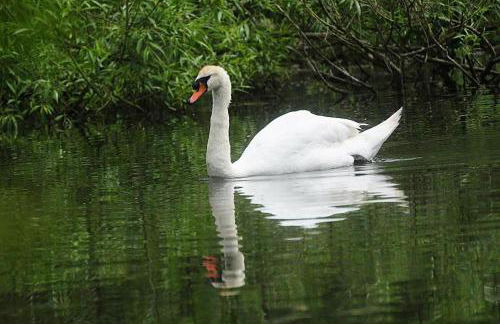 Summer House Terrace - Foto 53