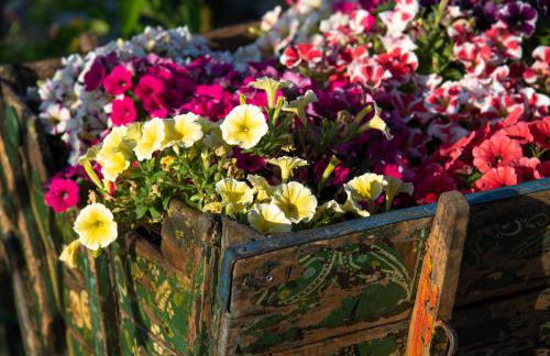 Elounda Heights - Adults Only - Foto 71