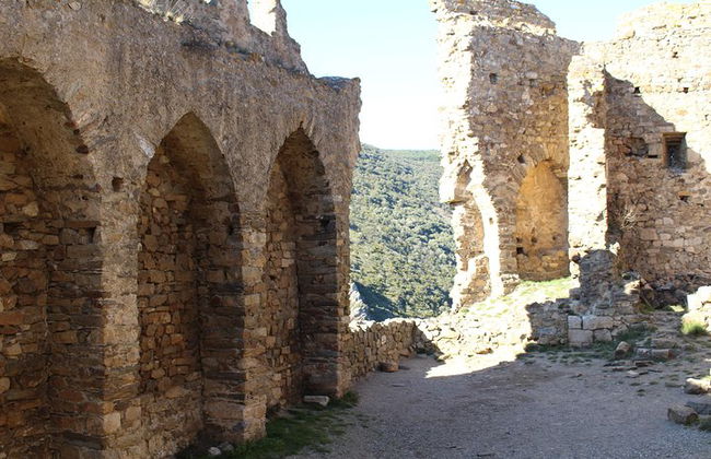 Tour privato di un giorno: Castelli di Lastours e Cité de Carcassonne. Da Carcassonne. - Foto 7