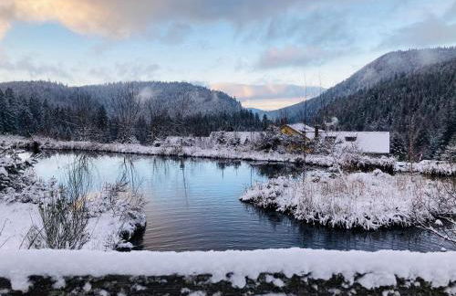 Le Perchoir du Grand Valtin - Gîte 5 personnes - Altitude 830 - Foto 30