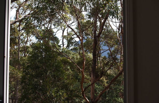 Craggy Peaks Wilderness Cabins - Foto 37