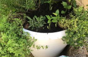 A casa da Anita - Foto 13