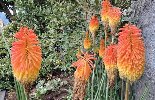 Northern Air House - Foto 56