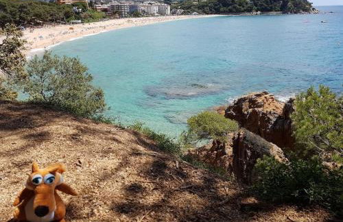 RESIDENTIAL FLAT Lloret de Mar (Nex - Foto 9