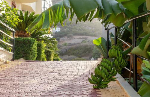 Elpis Studio Apartments - Foto 3