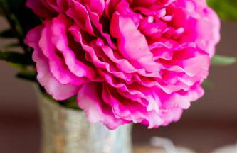 Apartment Amari - Foto 35